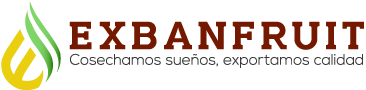 Exbanfruit – Cosechamos sueños, exportamos calidad